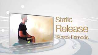 Biceps Femoris Static Release [upl. by Elisa899]