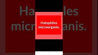 Halophiles microorganism [upl. by Elleivad706]