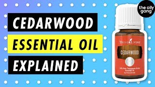 5 Benefits of CEDARWOOD Essential Oil [upl. by Yelah415]