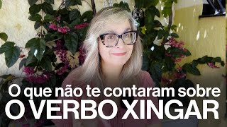 O que não te contaram sobre o verbo xingar [upl. by Haldi]