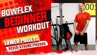 Bowflex XTREME Beginner Workout 2  20 min  Full Body  Warmup XCEED PR3000 [upl. by Nalyad773]