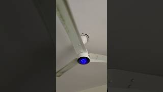 BLDC Ceiling Fan 😉 fan shortvideo fansound shorts viralvideo [upl. by Nelram]