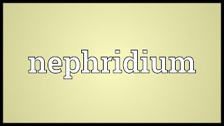 Nephridium Meaning [upl. by Nnyleimaj]