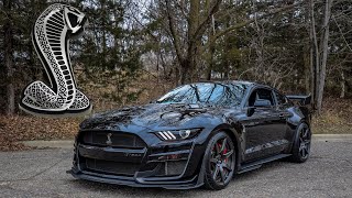 The Shelby GT500 Is The Coolest Mustang Ever Produced [upl. by Allecsirp]