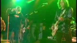 The Black Crowes  Cypress Tree live at the Greek [upl. by Rialb999]