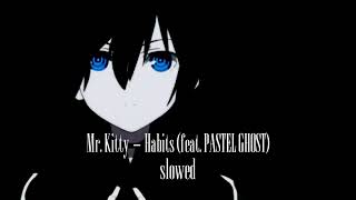 Mr Kitty  Habits feat PASTEL GHOST slowed amp reverb [upl. by Eiryt]