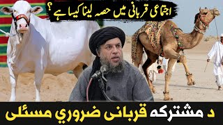 Da Mushtarqa Ya ijtimai Qurbani Zaroori Masail  Maulana Noor Uddin Agha [upl. by Tlevesor]