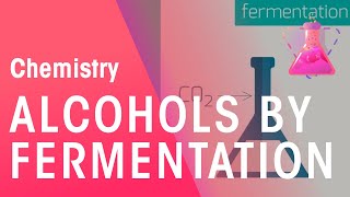 Making Alcohols By Fermentation amp From Ethane  Organic Chemistry  Chemistry  FuseSchool [upl. by Elamef]