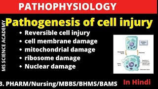 Pathogenesis of Cell Injury Reversible Cell InjuryHindiB PharmNursingBSc Pathophysiology [upl. by Inram]