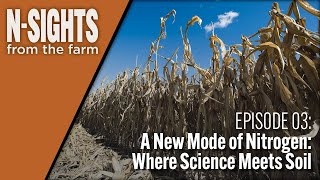 A New Mode of Nitrogen Where Science Meets Soil [upl. by Notgnirra]