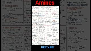 Amines Class 12 Chemistry NCERT  NEETJEE [upl. by Piefer760]