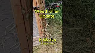 Weed killer update it works [upl. by Ettevi]