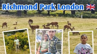 Richmond Park l Richmond Park London l Richmond Park Deer london odiavlog richmondpark [upl. by Laved]