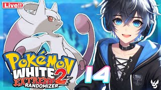 Playing Pokemon White 2 Extreme RANDOMIZER Gameplay Episode 14 🔴 LIVE [upl. by Evan]