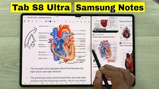 Note Taking on Samsung Tab S8 Ultra Using Samsung Notes  Top 24 Tips and Tricks [upl. by Madge]