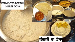 Fermented Foxtail Millet Dosaਕੰਗਨੀ ਦਾ ਡੋਸਾ कंगनी का डोसा High Fibre Gluten Free Milletfat loss🙂 [upl. by Yrrah]