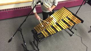 Vibraphone Solo  Do Re Mi Katamari Do from the Katamari Video Games [upl. by Adnawal493]