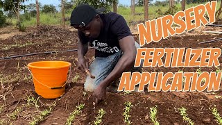 Nursery fertilizer application and irrigation [upl. by Nilcaj]