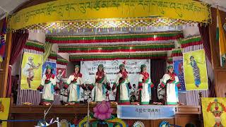 Tibetan Circe dance STS MIAO 2024 [upl. by Gar950]