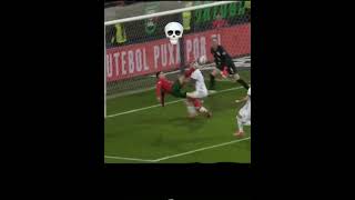 Ronaldo bicycle kick vs Poland [upl. by Korb]