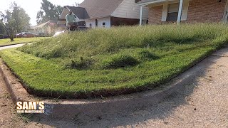 2 months no mow  Satisfying lawn mowing  Bagging WET grass  TALL grass mow  FREE [upl. by Manda]