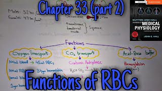 Functions of RBCs  Chapter 33 part 29 Guyton and Hall text book of physiology [upl. by Ecinreb]