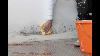 Keeping mould amp mildew at bay with Zinsser PermaWhite [upl. by Kurtz]