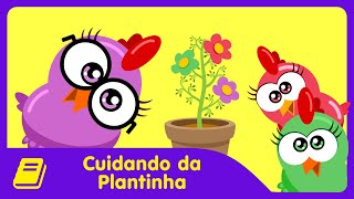 Galinha Pintadinha Mini  Historinha  Cuidando da Plantinha [upl. by Lianne]