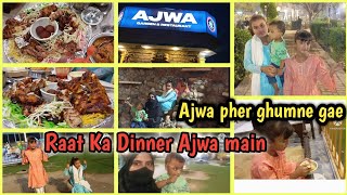 Ajwa park main dinner 🍽️ Ajwa pher ghumne gae  Rashida Irfan daily routine Pakistani vlog [upl. by Llecrep]