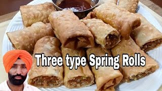 Veg Spring Rolls Recipe three type Homemade Sheets Easy amp Quick Snack Recipe jaan mahal video [upl. by Arrec621]