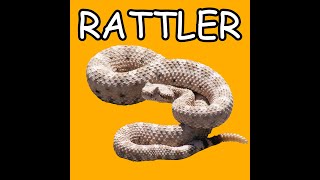 Rattler Lofi Beat [upl. by Aisyram160]