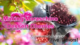 🍒 Making Authentic Maraschino Cherries🍒 Chatty Commentary Version 🍒 Jen Spice [upl. by Adao36]