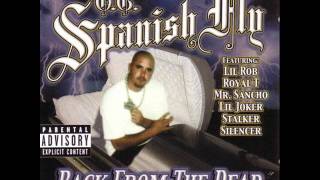 OG Spanish Fly  Oldie Remix [upl. by Yarg]