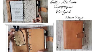 PLANNER FLIP  Gillio Undyed  30mm Rings [upl. by Sherris357]