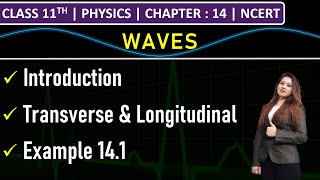 Class 11th Physics  Waves  Transverse amp Longitudinal Waves  Example 141  Chapter 14  NCERT [upl. by Letnohs]