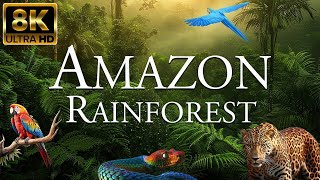 Secret Of BRAZIL  Amazon forest Pentanal PampasAnimals Documentry [upl. by Rodolph]