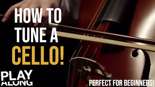 How to Tune a Cello [upl. by Navannod]