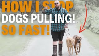 HOW I STOP DOGS PULLING So Quickly [upl. by Hadleigh]