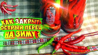 Острый горький перец на зиму за 5 минут без стерилизации [upl. by Meesan]