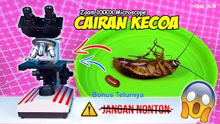 ISI PERUT KECOA amp TELUR  Cockroach Egg amp Abdomen Microscope Zoom 1000X [upl. by Agatha873]