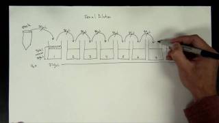 Concentrations Part 5  serial dilution [upl. by Samohtnhoj]