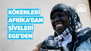 Kökenleri Afrikadan şiveleri Egeden [upl. by Acissev105]