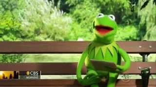 Kermit the Frogs Note to Self [upl. by Daggett]