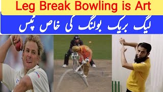 Leg Break Bowling Tips I Leg Break Bowling I Flipper Bowling Tips I Spin Bowling Tips [upl. by Lalage]