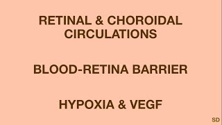 Retina Session 05 Retinal and Choroidal Circulations [upl. by Akerdnahs]