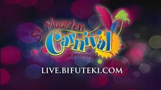 Ms Mature Pageant 2013  St Maarten Carnival 2013 Part 1 [upl. by Eilojne999]