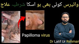 Bovine Papilloma Viruswarts pox virusdr latif Ur Rehman [upl. by Eimor]