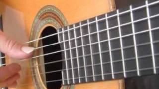 CHITARRA MIA SUONA [upl. by Faxen]