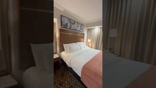 KING SUITE PARADICE HOTEL PEORIA ILLINOIS milliondollarbaby hotels [upl. by Levan307]