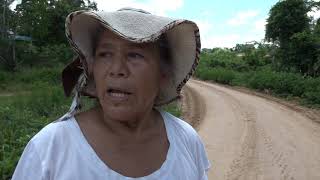 Menonitas en la amazonia [upl. by Nnylacissej]